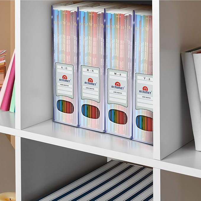 Acrimet Magazine File Holder – Vertical Rack for Documents, Folders and Mail, Durable Plastic Desk Organizer for Office & Home, Clear Crystal (2 Pack)