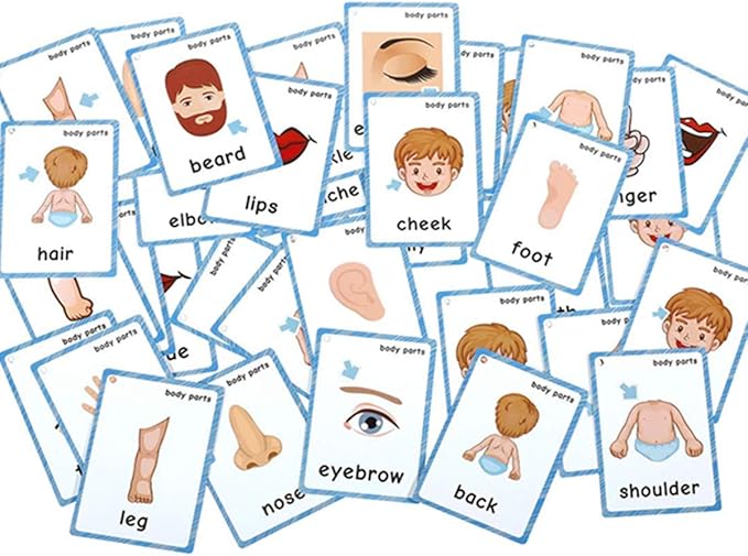 Set of(Body Parts+Insects) Flash Cards for Toddlers | Kids Learning Montessori Pocket Cards Toys | Perfect for Pre-K Decorations Background Wall Stickers,Teacher/Autism Therapists Tools