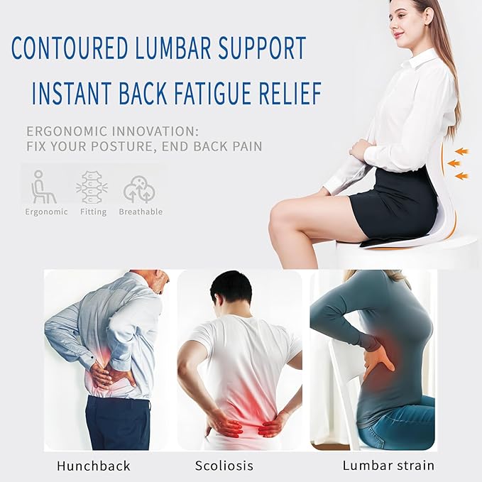 Ergonomic Back Support for Office Chair Cushion with Lumbar Pillow, Posture Corrector for Desk Chairs, Comfortable Memory Foam Seat Cushion for Lower Back Pain Relief, Beige