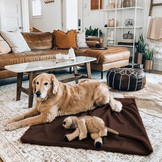 Fleece Throw Blankets Bulk Fleece Blankets Solid Wholesale Lightweight Warm Soft for Pet Bed Sofa Couch Office Wedding Gifts Travel Seasons 50x60 Inches Pack of 6 Chocolate Brown