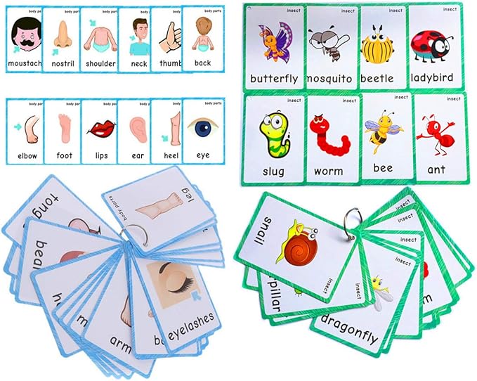 Set of(Body Parts+Insects) Flash Cards for Toddlers | Kids Learning Montessori Pocket Cards Toys | Perfect for Pre-K Decorations Background Wall Stickers,Teacher/Autism Therapists Tools
