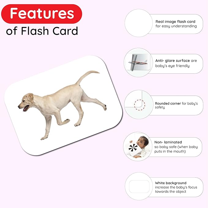 hungry brain Flash Cards for Toddlers, 24 Domestic Animals Flashcards, Double-Sided, Montessori, Educational, Kindergarten - Preschool Learning Activities, Gifts for Kids, 1, 2, 3, 4 Years Babies