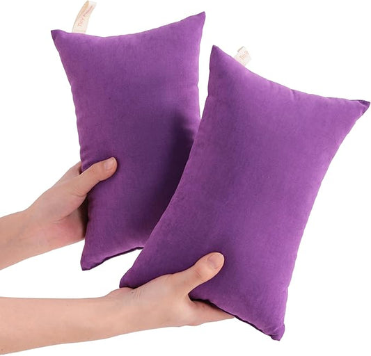 NTBAY Tiny Pillows, Down Alternative 7"x11" Microfiber Mini Pillow for Travel, Pets, Soft Machine Washable Small Pillows for Neck, Wrist, Lumbar and Knee, Purple