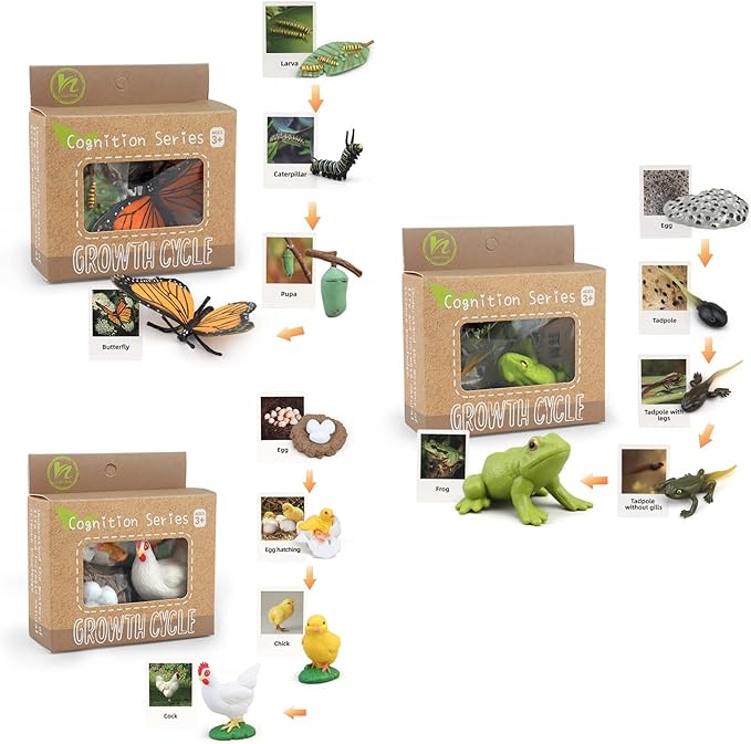 Montessori Animal Match Game Cards Marine Animal Matching Montessori Language Materials Toddlers Preschool Educational Learning Toys Language Materials Shape Sorting Toy