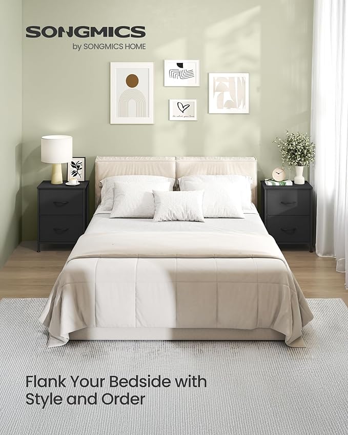 SONGMICS Dresser for Bedroom, Chest of Drawers, Nightstand, Steel, MDF, 2 Non-Woven Fabric Drawers, Storage Organizer Unit, Closet, Entryway, Ink Black and Ebony Black ULGS312B01S