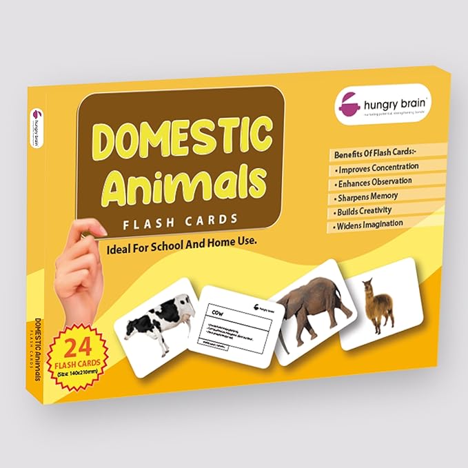 hungry brain Flash Cards for Toddlers, 24 Domestic Animals Flashcards, Double-Sided, Montessori, Educational, Kindergarten - Preschool Learning Activities, Gifts for Kids, 1, 2, 3, 4 Years Babies