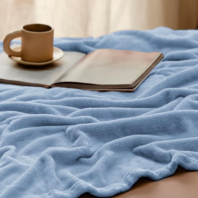 Bedsure GentleSoft Fleece Blankets Twin Size Light Blue - 300GSM Lightweight Plush Fuzzy Cozy Soft Blanket for Bed, Sofa, Couch, Travel, Camping, 60x80 inches