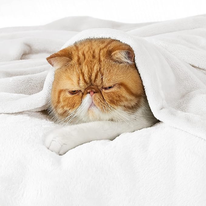 Bedsure GentleSoft Fleece Throw XL Blanket White - 300GSM Soft Lightweight Plush Cozy Blankets for Bed, Sofa, Couch, Travel, Camping, 50x70 inches