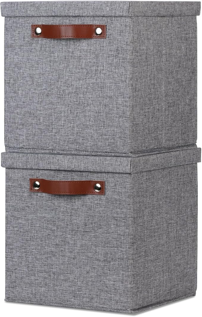 Temary Foldable Fabric Storage Bins with Lids, 2-Pack Storage Bin for Organizing Living Room, Closet Organization, Multi-Purpose Storage Boxes for Clothes (Grey, 10.5x10.5x10.5 inch)