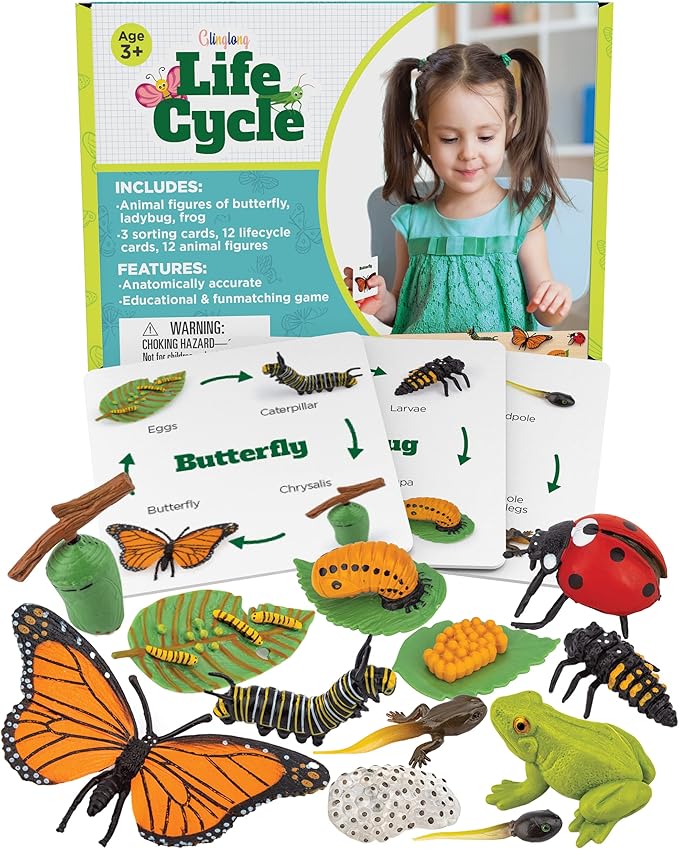 Life Cycle Science Kit Montessori Realistic Figurine, Kids Animal Matching Game with Frog, Ladybug and More Includes 12 Piece, Fun Learning Education Toys Stocking Stuffers for Children 3 4 5 6 7 8