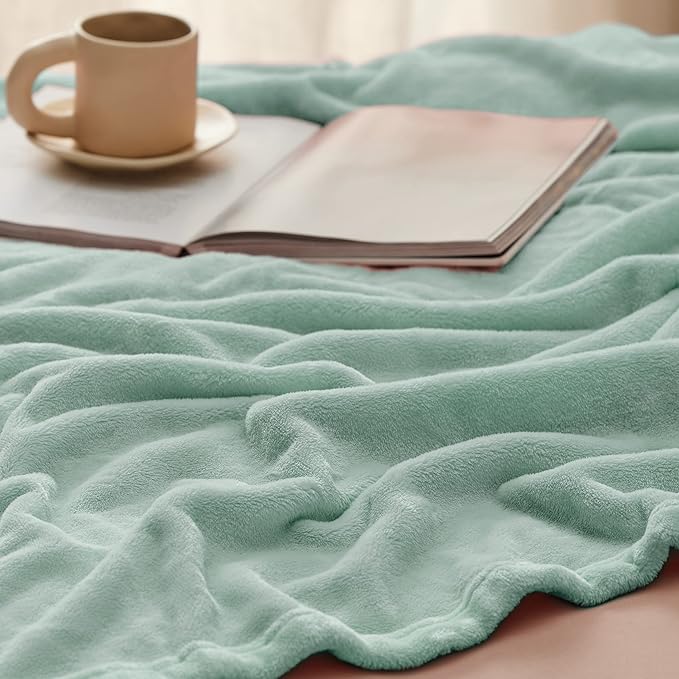 Bedsure GentleSoft Sage Green Fleece Blankets Queen Size - 280GSM Soft Lightweight Plush Cozy Blanket for Bed, Sofa, Couch, Travel, Camping