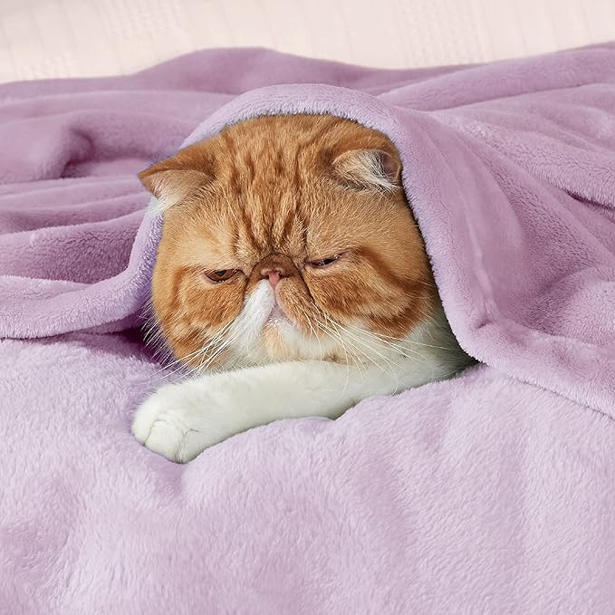 Bedsure GentleSoft Fleece Throw XL Blanket Light Purple - 300GSM Soft Lightweight Plush Cozy Blankets for Bed, Sofa, Couch, Travel, Camping, 50x70 inches