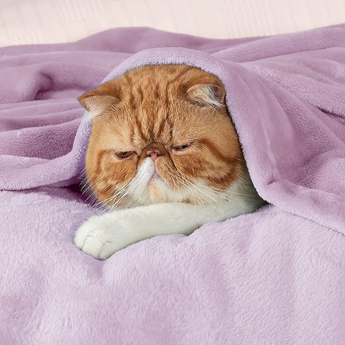 Bedsure GentleSoft Twin XL Fleece Blanket Dorm Bedding - Lightweight Soft Cozy Blankets for Bed, Sofa, Couch, Travel, Camping, Lilac, 66"x90"