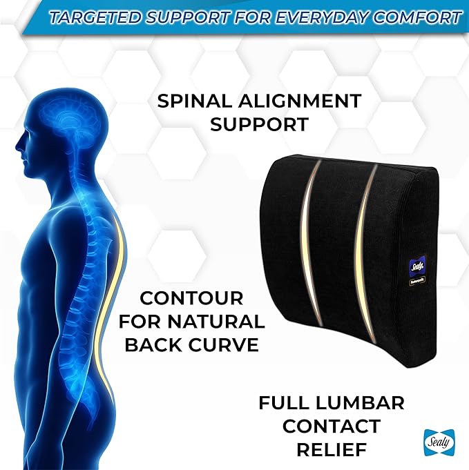 Sealy Lumbar Support Pillow for Office Chair and Car Seat - Memory Foam Lumbar Pillow & Back Brace Support Posture Corrector, Lower Back Pain Relief