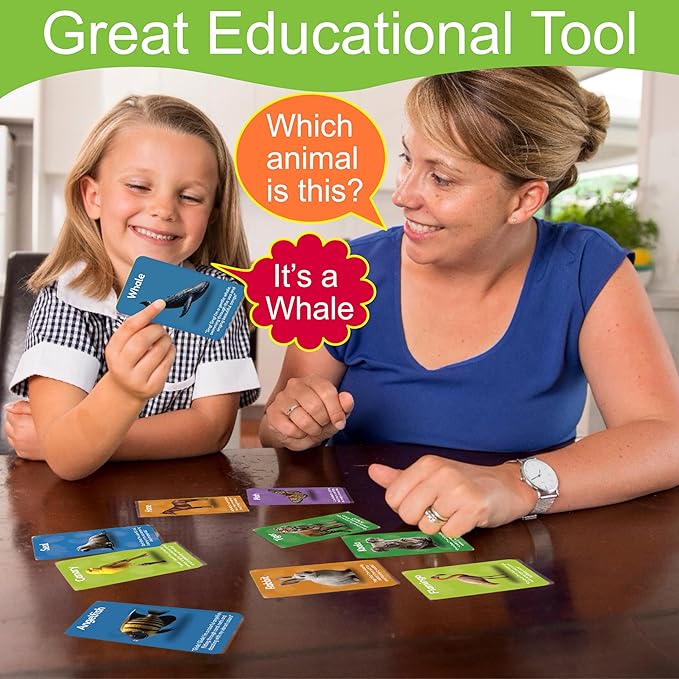 Smart Scribbles Thick Flash Cards for Toddlers - First 100 Animals, Montessori Learning Toys & Educational Games, Ages 18 Months-99 Years, Home Schooling, Travel & Speech Therapy Toys