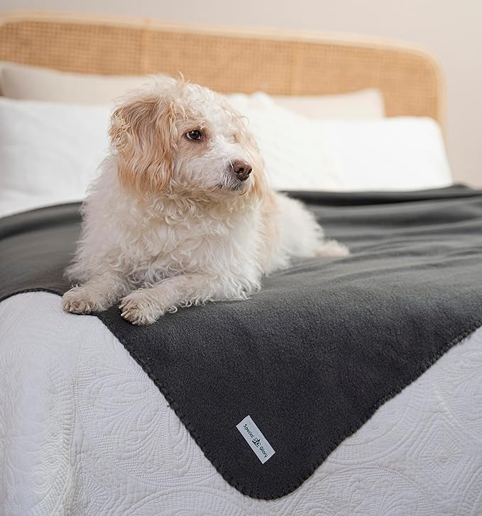 Special SG Glory Fleece Throw Blanket Set Bulk for Travel Kids Outdoor Wedding Pet (Assorted #5, Pack of 6 50x60 Inches)