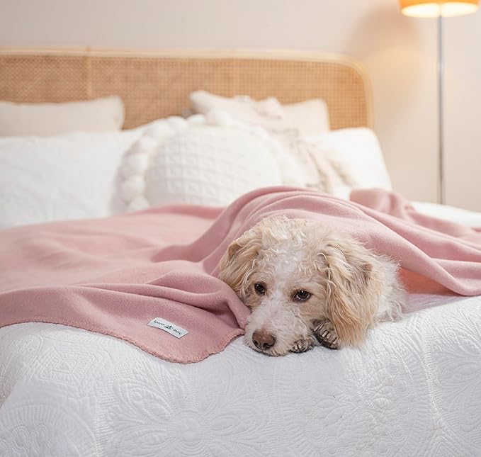 Special SG Glory Fleece Throw Blankets Bulk Fleece Blankets Solid Wholesale Lightweight Warm Soft for Pet Bed Sofa Couch Office Wedding Gifts Travel Seasons Beige and Pink 50x60 Inches Pack of 6