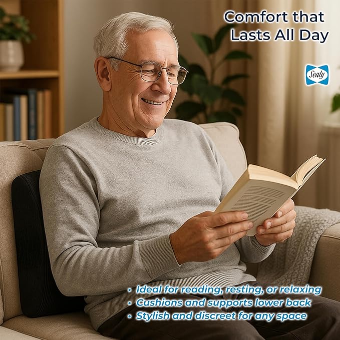 Sealy Lumbar Support Pillow for Office Chair and Car Seat - Memory Foam Lumbar Pillow & Back Brace Support Posture Corrector, Lower Back Pain Relief