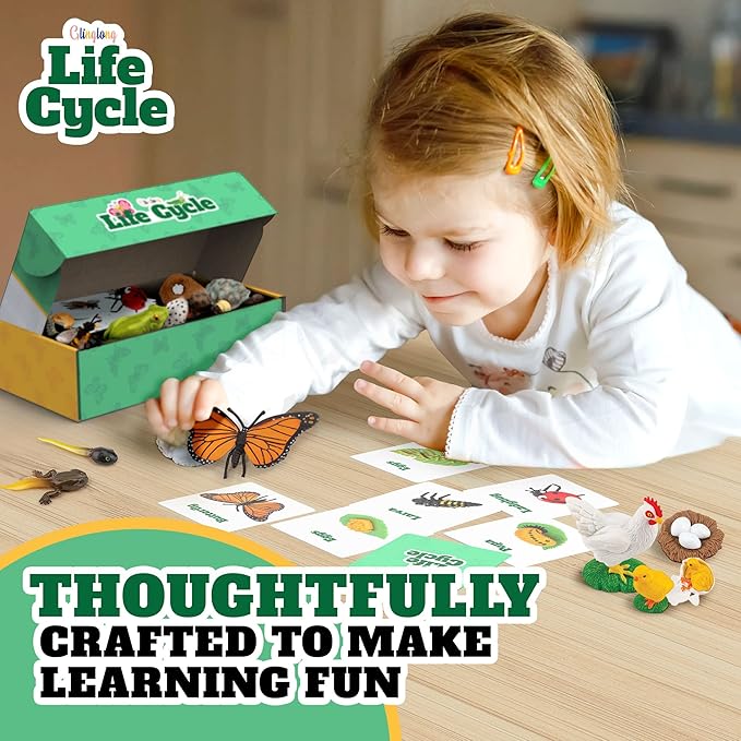 Life Cycle Science Kit Montessori Realistic Figurine, Kids Animal Matching Game with Frog, Ladybug and More Includes 24-Piece, Fun Learning Education Toys Stocking Stuffers for Children 3 4 5 6 7 8