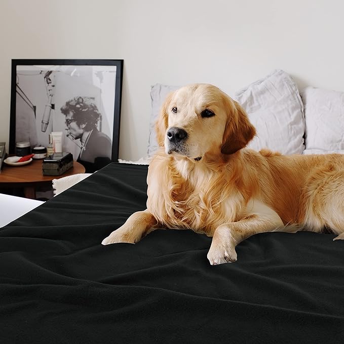 Special SG Glory Fleece Throw Blankets Bulk Fleece Blankets Solid Wholesale Lightweight Warm Soft for Pet Bed Sofa Couch Office Wedding Gifts Travel Seasons (Black, Pack of 6-50x60 Inches)