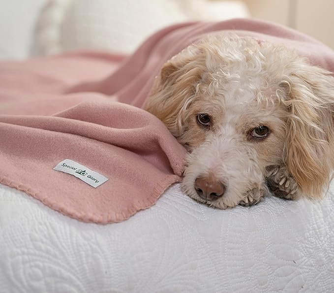Special SG Glory Fleece Throw Blankets Bulk Fleece Blankets Solid Wholesale Lightweight Warm Soft for Pet Bed Sofa Couch Office Wedding Gifts Travel Seasons Navy and Pink 50x60 Inches Pack of 6