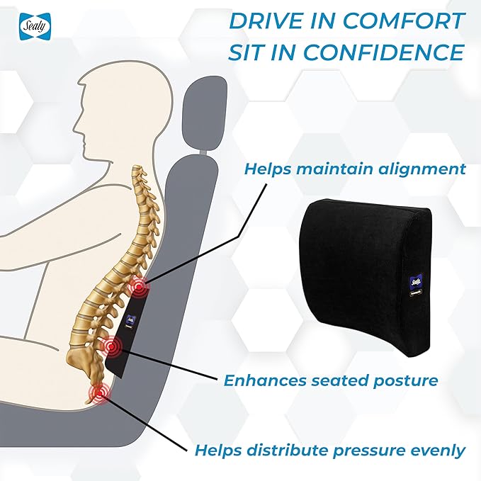 Sealy Lumbar Support Pillow for Office Chair and Car Seat - Memory Foam Lumbar Pillow & Back Brace Support Posture Corrector, Lower Back Pain Relief