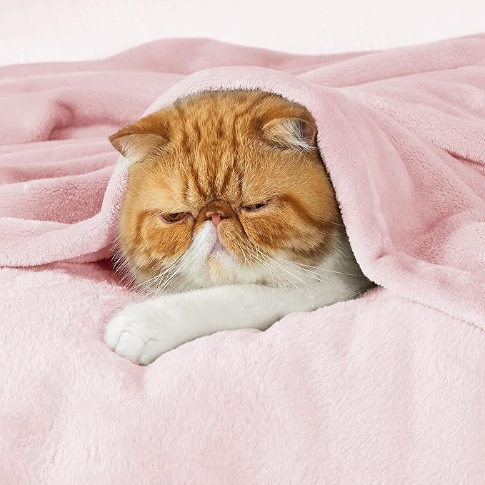 Bedsure GentleSoft Fleece Blanket Twin Size Pink - 300GSM Lightweight Plush Fuzzy Cozy Soft Valentines Blanket for Bed, Sofa, Couch, Travel, Camping, 60x80 inches