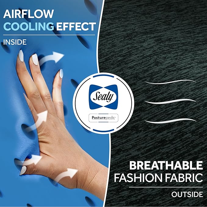 Sealy Memory Foam Seat Cushion for Car and Office Chairs – Pressure Relief Cushion for Tailbone Pain, Posture Support, and Comfort for Home Office Essentials