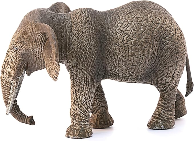 Schleich African Elephant 2024