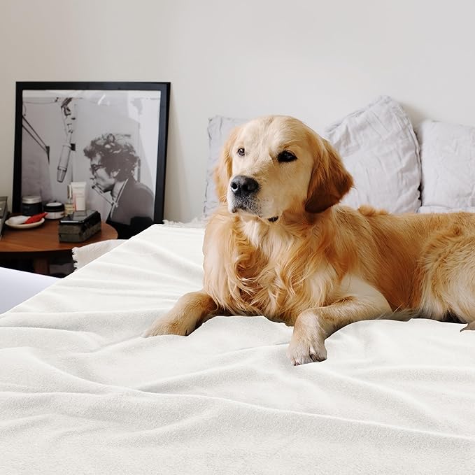 Special SG Glory Fleece Throw Blankets Bulk Fleece Blankets Solid Wholesale Lightweight Warm Soft for Pet Bed Sofa Couch Office Wedding Gifts Travel Seasons White 50x60 Inches Pack of 6