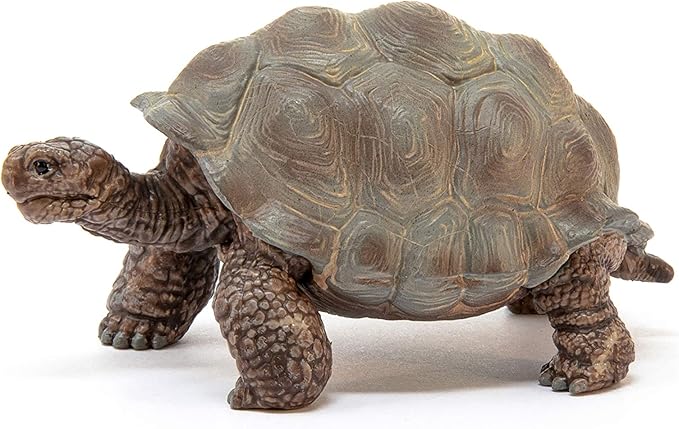 Schleich Wild Life Realistic Exotic Galapagos Giant Tortoise Figurine - Wild Animal Figurine Giant Tortoise Toy for Wildlife Play and Imagination for Toddlers Boys and Girls, Gift for Kids Age 3+