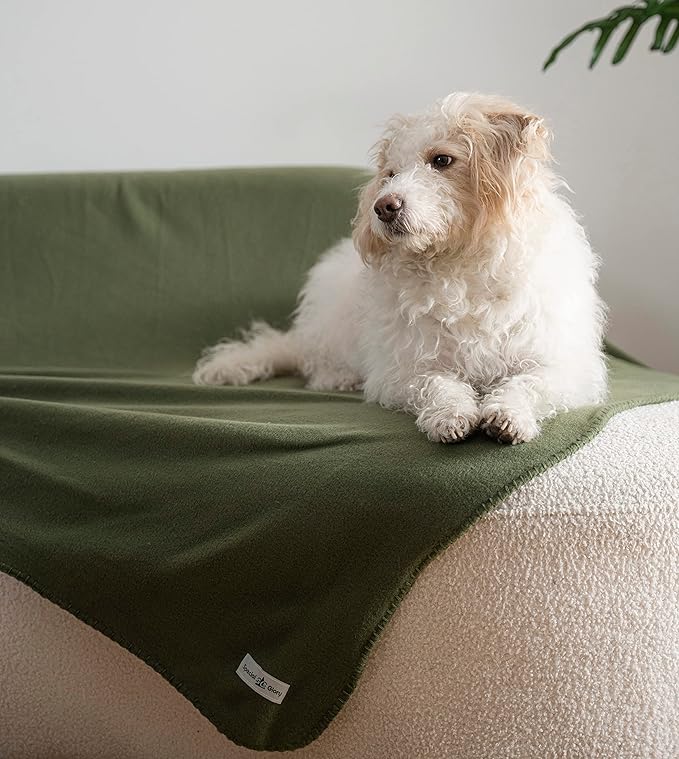 Special SG Glory Fleece Throw Blanket Set Bulk for Travel Kids Outdoor Wedding Pet (Assorted #5, Pack of 6 50x60 Inches)