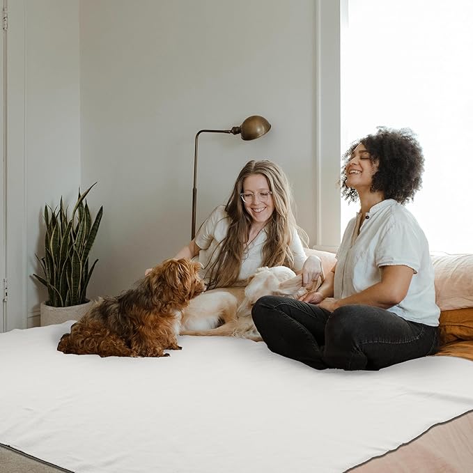 Special SG Glory Fleece Throw Blankets Bulk Fleece Blankets Solid Wholesale Lightweight Warm Soft for Pet Bed Sofa Couch Office Wedding Gifts Travel Seasons White 50x60 Inches Pack of 6