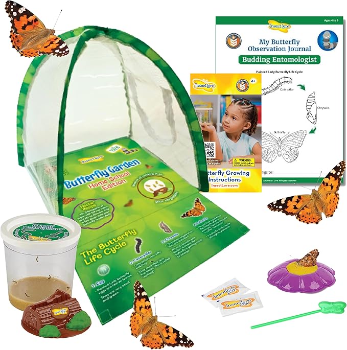 Insect Lore Butterfly Garden Home School Kit | Live Cup of Caterpillars | Ultra-Clear Observation Dome | Fold-Out Life Cycle Panel | STEM Butterfly Journal | Raise Painted Lady Butterflies