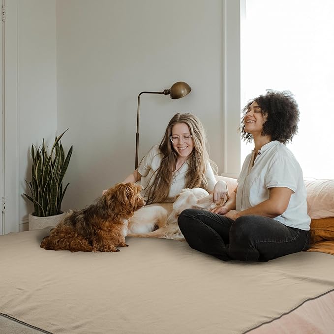 Special SG Glory Fleece Throw Blankets Bulk Fleece Blankets Solid Wholesale Lightweight Warm Soft for Pet Bed Sofa Couch Office Wedding Gifts Travel Seasons Beige and Black 50x60 Inches Pack of 6