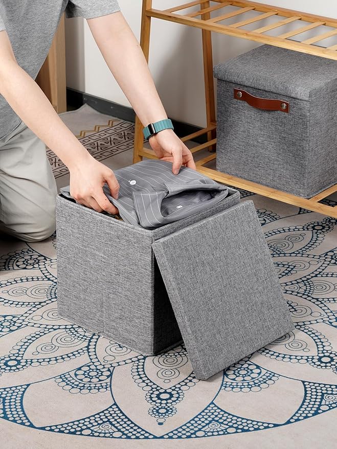 Temary Foldable Fabric Storage Bins with Lids, 2-Pack Storage Bin for Organizing Living Room, Closet Organization, Multi-Purpose Storage Boxes for Clothes (Grey, 10.5x10.5x10.5 inch)