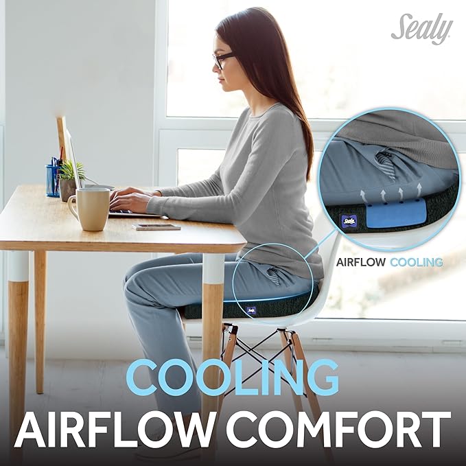 Sealy Memory Foam Seat Cushion for Car and Office Chairs – Pressure Relief Cushion for Tailbone Pain, Posture Support, and Comfort for Home Office Essentials