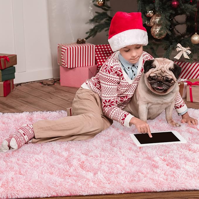 Noahas Fluffy Pink Rugs for Bedroom Girls,2.6' x 5.3' Oval Shaggy Fuzzy Living Room Carpet,Soft Area Rugs for Kids Room,Thick Plush Bedside Nursery Rug,Cute Room Decor for Teen Girls