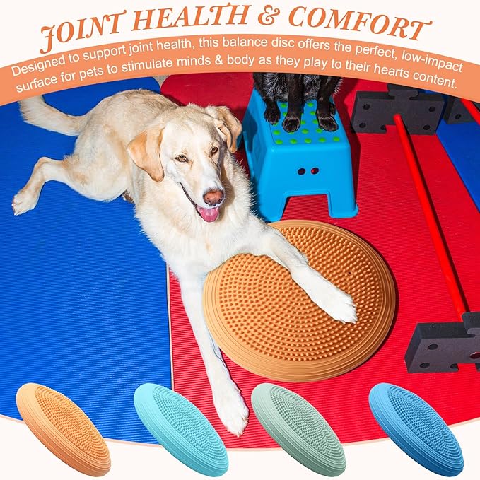 Libima 4 Pcs Wiggle Seat Inflated Wobble Cushion for Sensory Kid 13 Inches Balance Disc Flexible Seating for Classroom Sensory Pad for Chair Wiggle Cushion