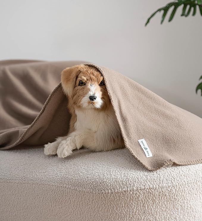 Special SG Glory Fleece Throw Blanket Set Bulk for Travel Kids Outdoor Wedding Pet (Camel, Pack of 6 50x60 Inches)