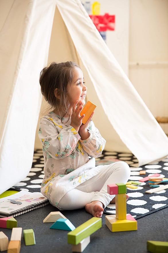 6 Piece Tegu Pocket Pouch Prism Magnetic Wooden Block Set, Tints