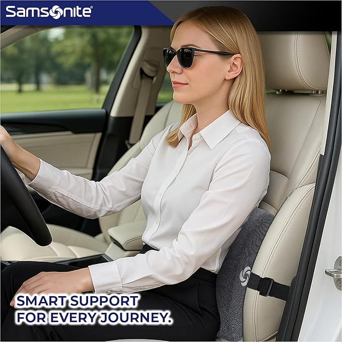 Samsonite Ergonomic Lumbar Pillow for Office Chair and Car Seat - Memory Foam Back Support Lumbar Pillow, Premium Cushion Chair Support for Lower Back Pain Relief and Versatile Use (Dark Grey)