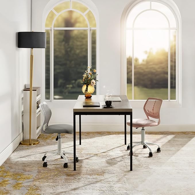 Homy Casa Armless Home Office Desk Chair, Colorful Task Chair with Soft Mesh Padded Cushion, Height Adjustable Swivel Study Computer Chair for for Girls Boys Teens (CO-Grey, 1PC)