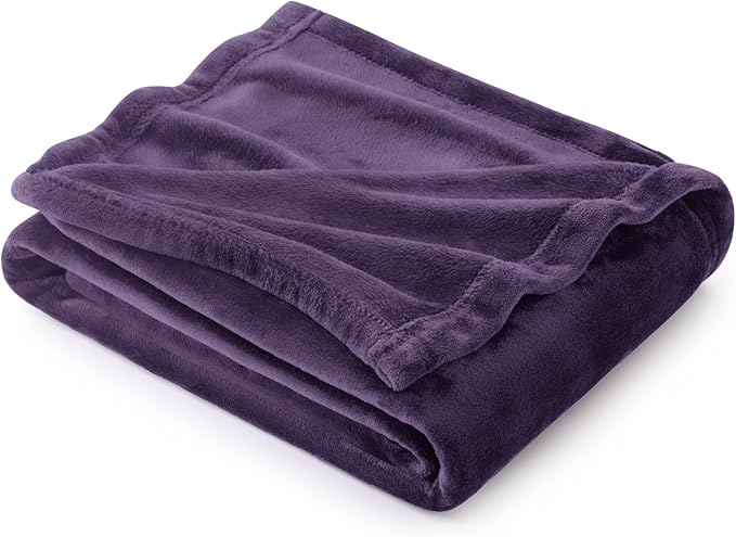 Bedsure GentleSoft Fleece Blanket Twin Size Purple - 300GSM Lightweight Plush Fuzzy Cozy Soft Warm Blanket for Bed, Sofa, Couch, Travel, Camping, 60x80 inches