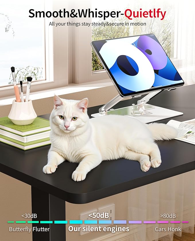 Okin Standing Desk Electric Adjustable Computer Whole Piece Stand up Desk Office Gaming Home Office Memory Desks 48x24 inches Black