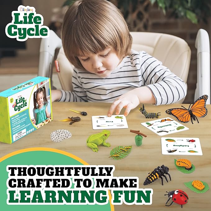 Life Cycle Science Kit Montessori Realistic Figurine, Kids Animal Matching Game with Frog, Ladybug and More Includes 12 Piece, Fun Learning Education Toys Stocking Stuffers for Children 3 4 5 6 7 8