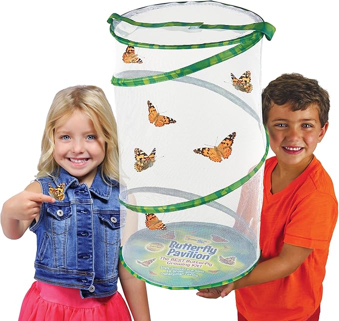 Insect Lore Giant Butterfly Garden with Voucher | 18 Inch Habitat | Life Cycle Figurines Included | Voucher to Redeem 5 Baby Caterpillars Later | Raise Painted Lady Butterflies