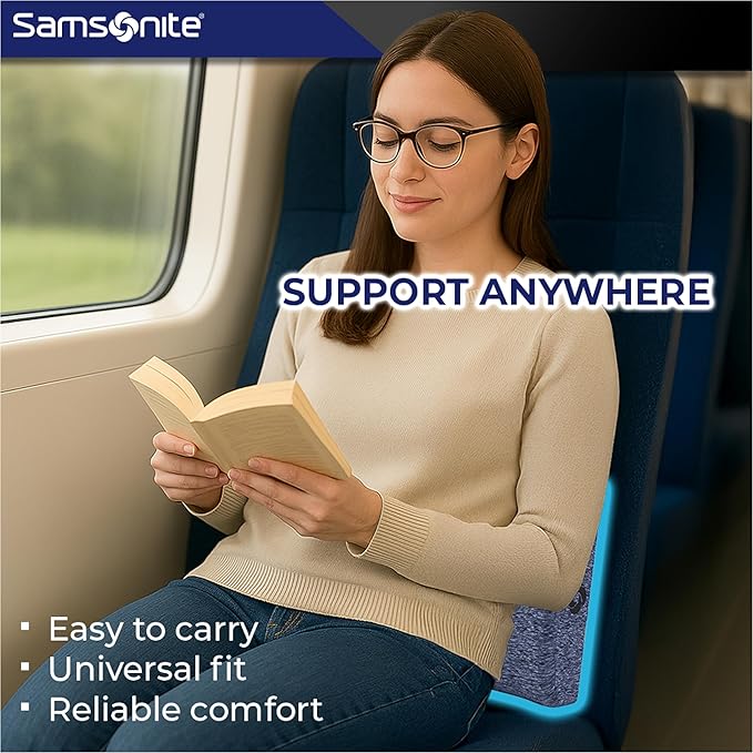 Samsonite Ergonomic Lumbar Support Pillow for Office Chair and Car Seat - Memory Foam Back Support Lumbar Pillow Premium Cushion Chair Support for Lower Back Pain Relief and Versatile Use (Gray-Blue)