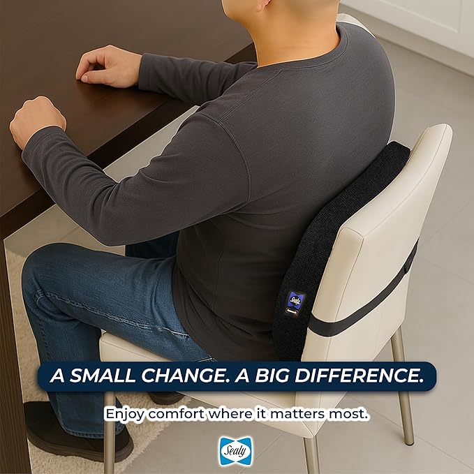Sealy Lumbar Support Pillow for Office Chair and Car Seat - Memory Foam Lumbar Pillow & Back Brace Support Posture Corrector, Lower Back Pain Relief