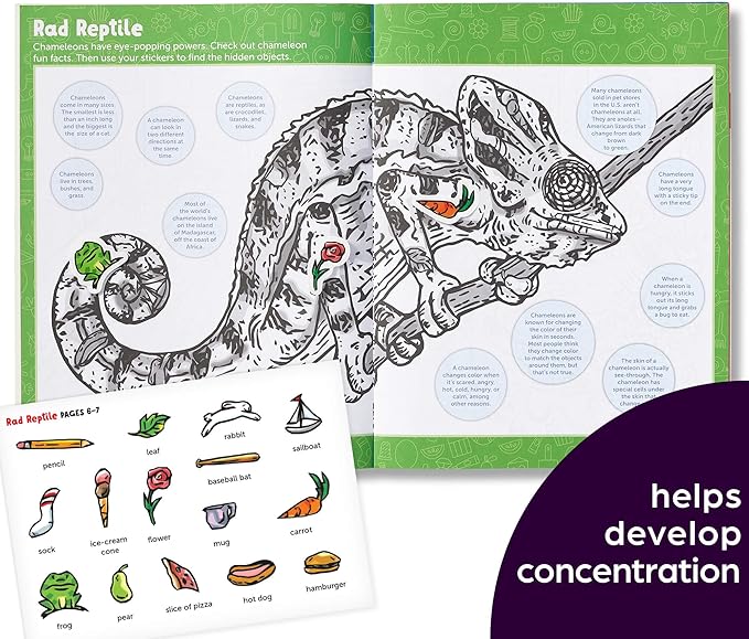 Highlights Hidden Pictures Sticker Challenge Books for Kids Ages 6 and Up, 4-Pack, 64 Pages of Seek and Find Activities, Double as Coloring Books, 440+ Stickers